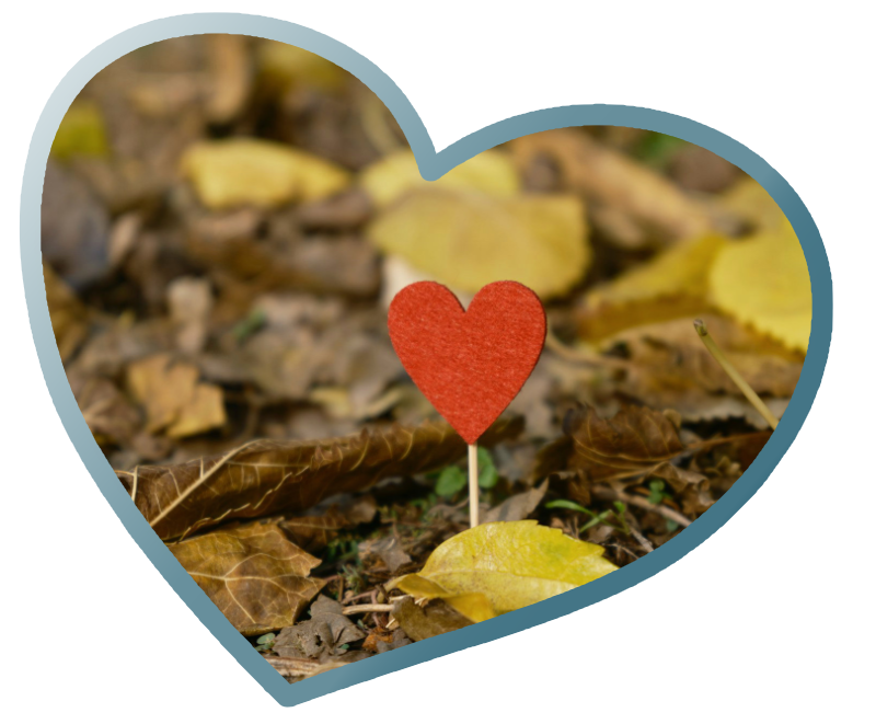 red heart on a small stick surrounded by autumn leaves